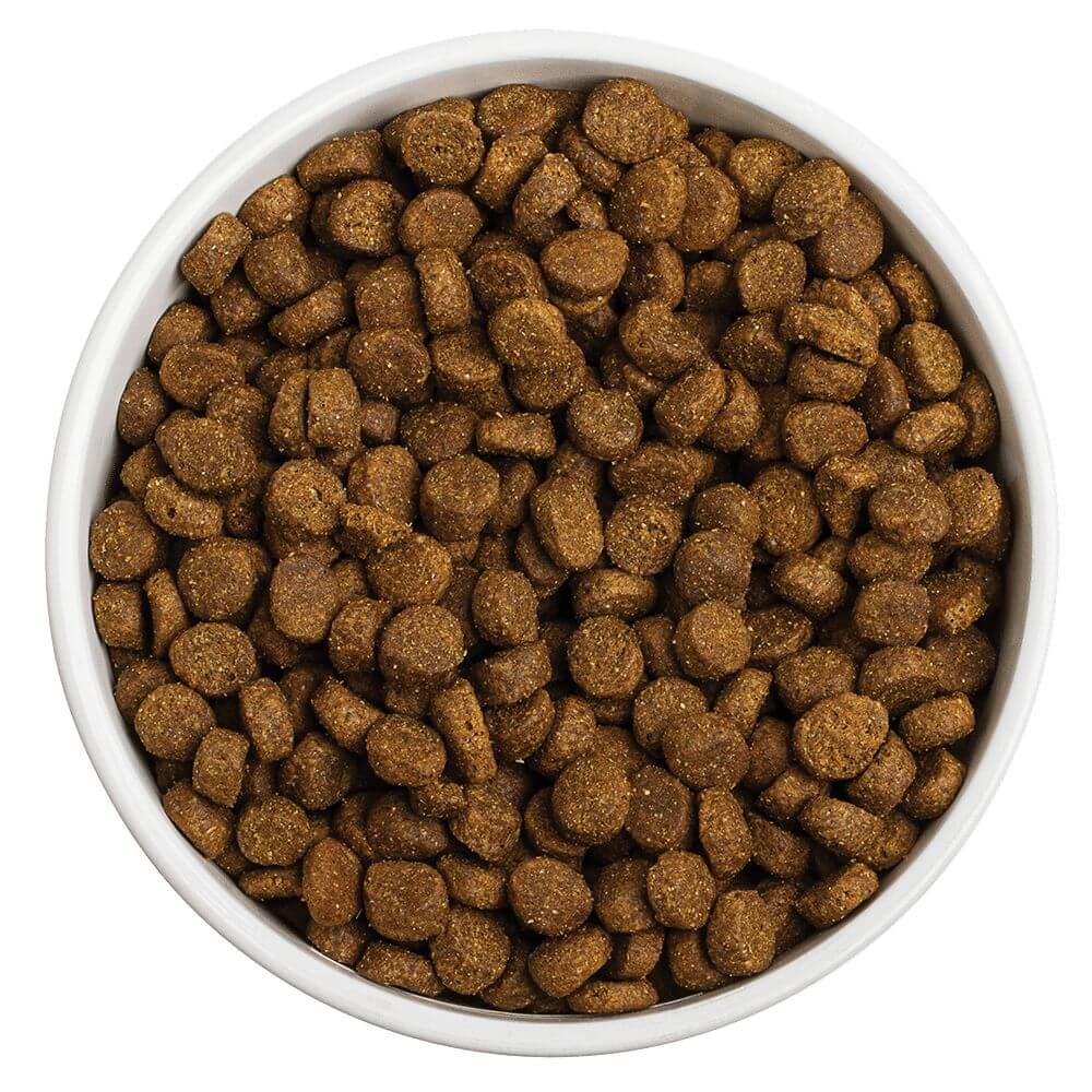 Kibble Dog Food Explained