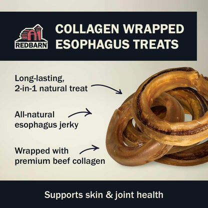 Collagen Wrapped Esophagus Ring