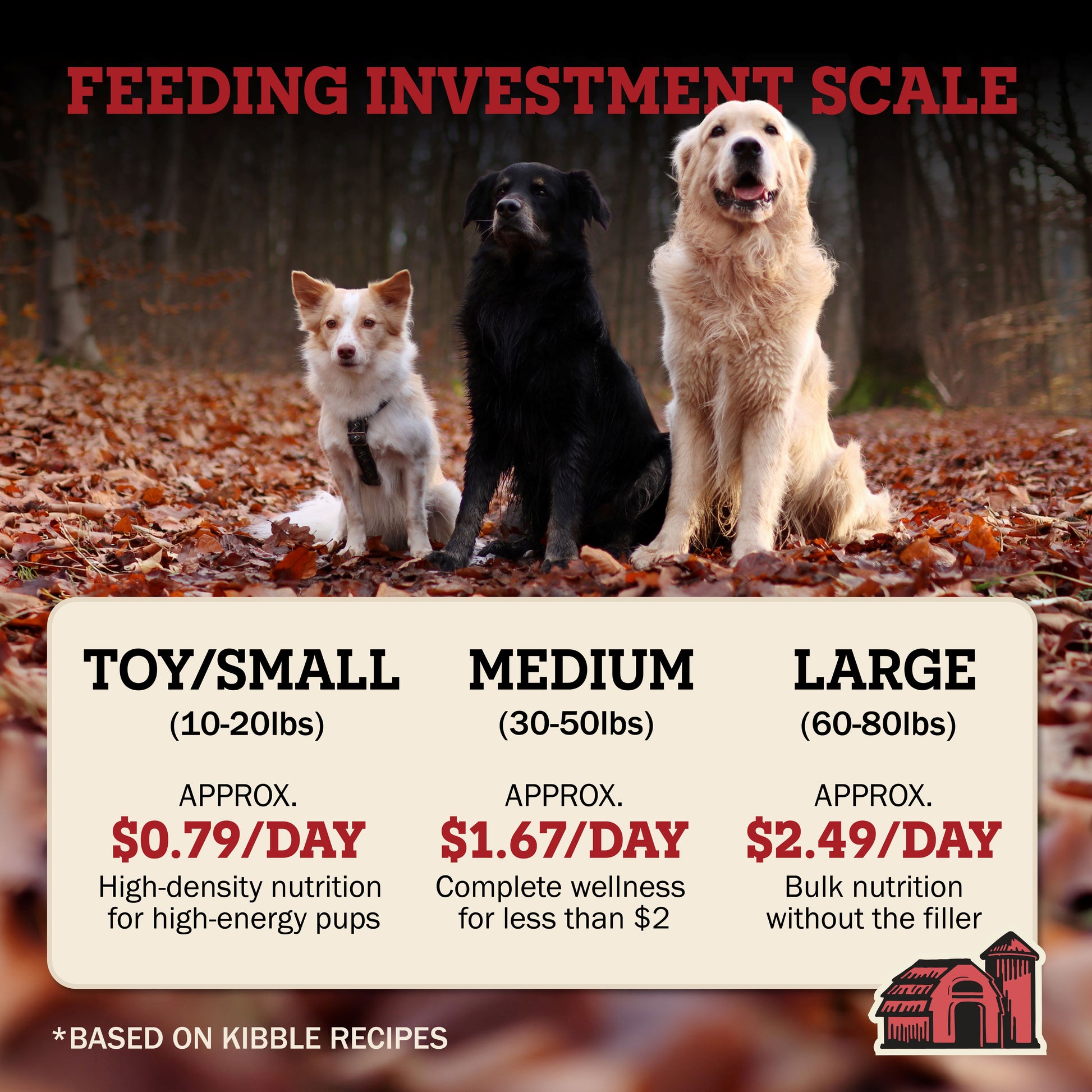 Dog food pricing chart comparing Redbarn kibble recipe per day costs, comparing it with common daily items for small, medium and large dog size.