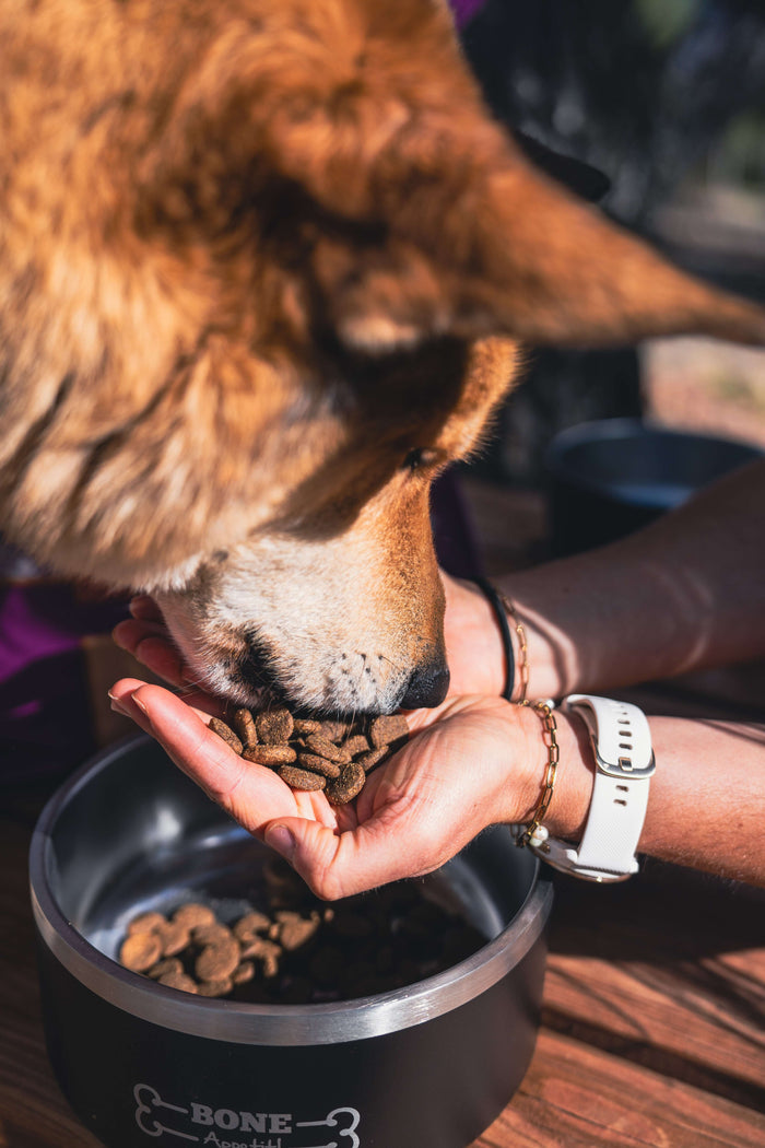 Dog eating from a person's hand with a container of Redbarn Kibble.