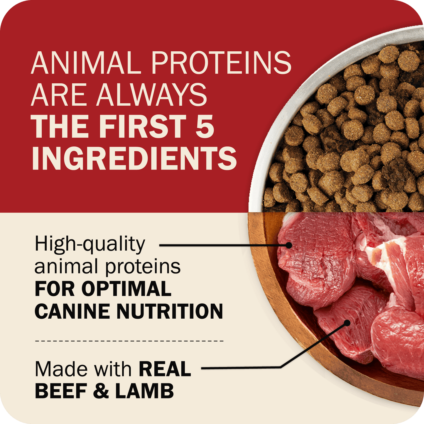 The First Five Ingredients