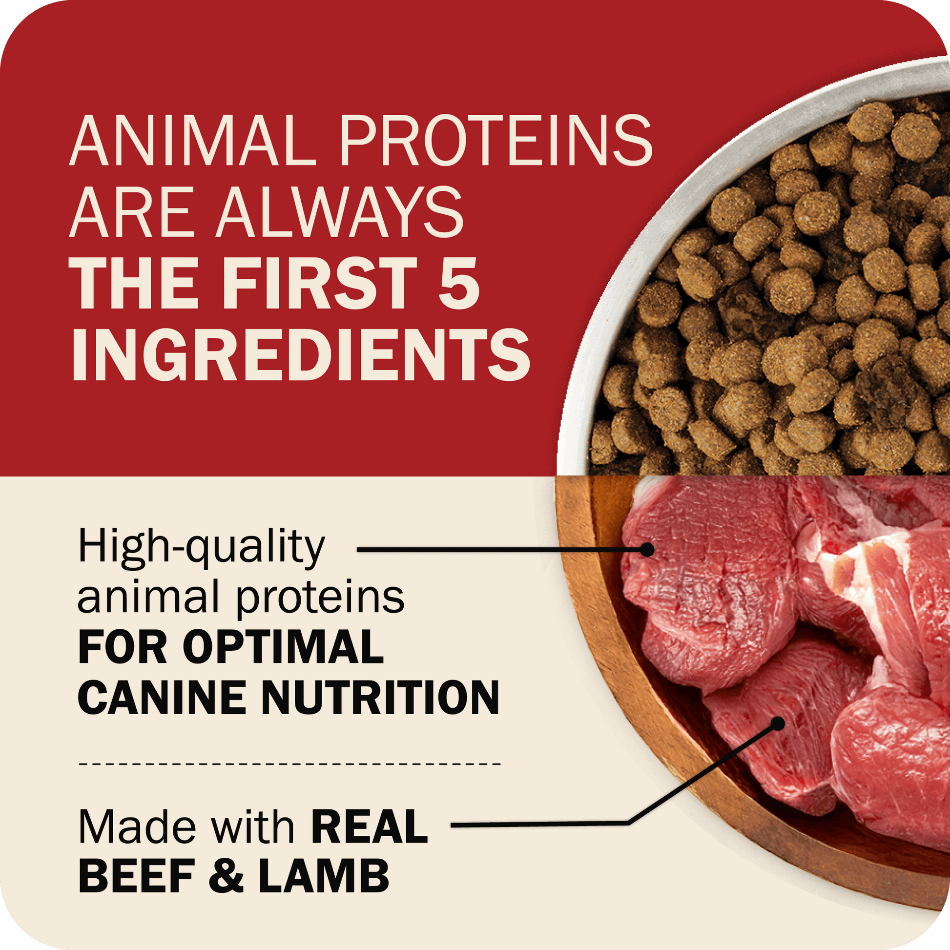 The First Five Ingredients