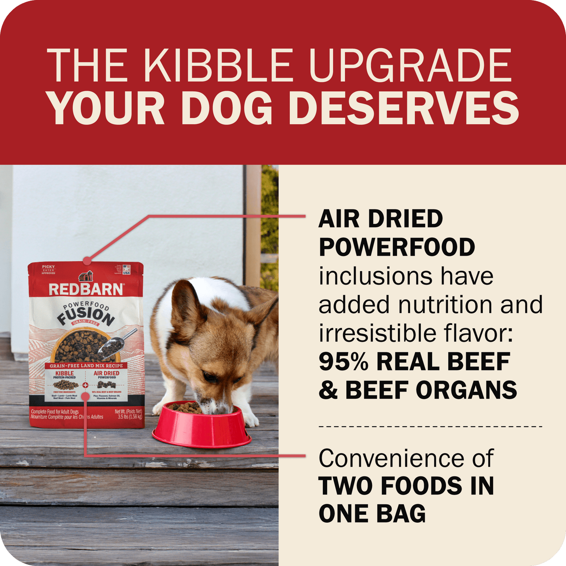 The Kibble Upgrade Your Dog Deserves - 95% Real Beef & Beef Organs
