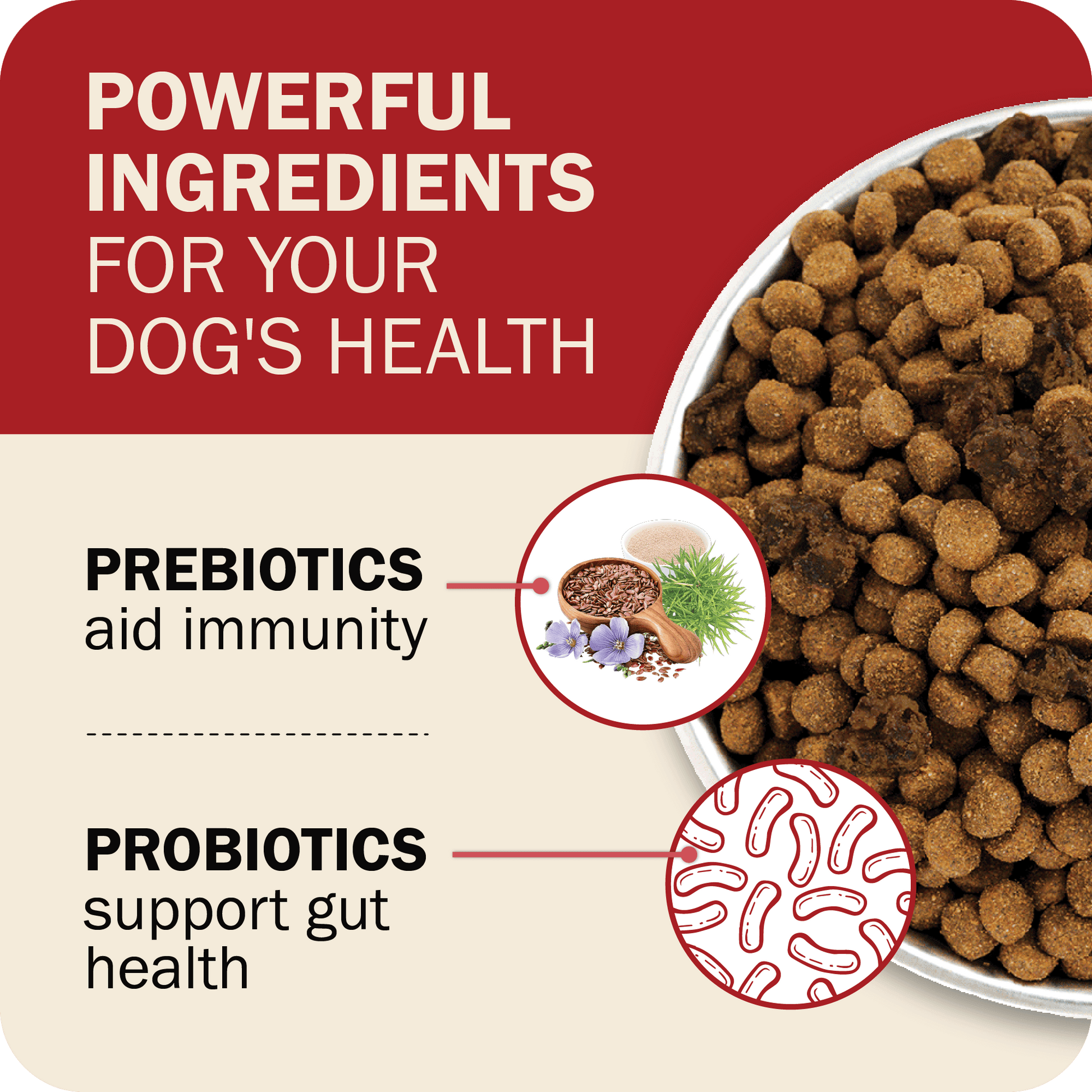 Pre & Probiotics