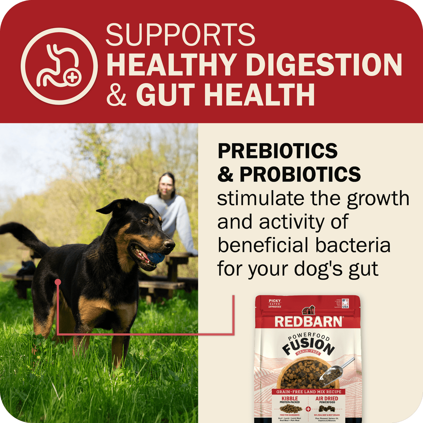Healthy Digestion & Gut Health