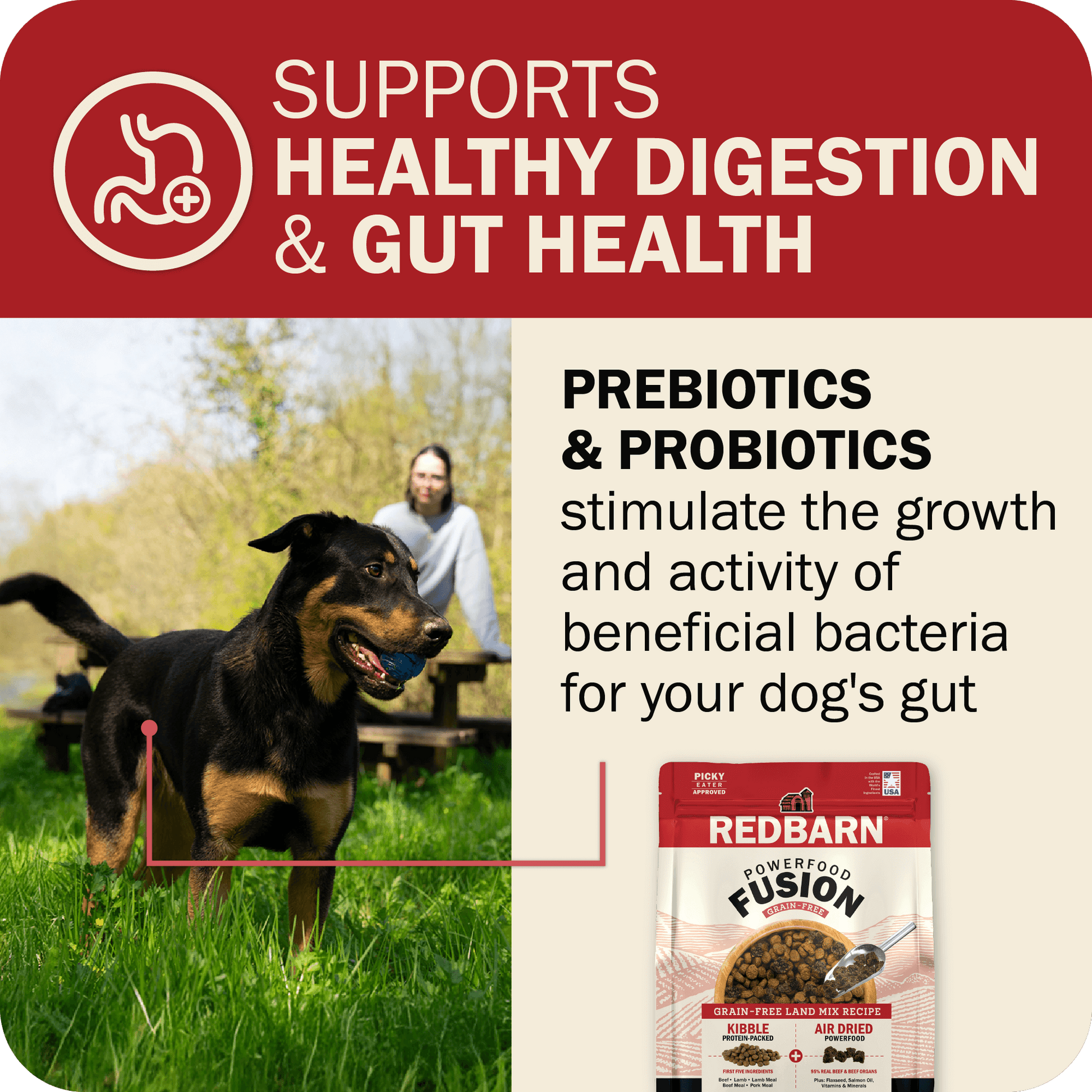 Healthy Digestion & Gut Health
