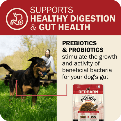 Healthy Digestion & Gut Health