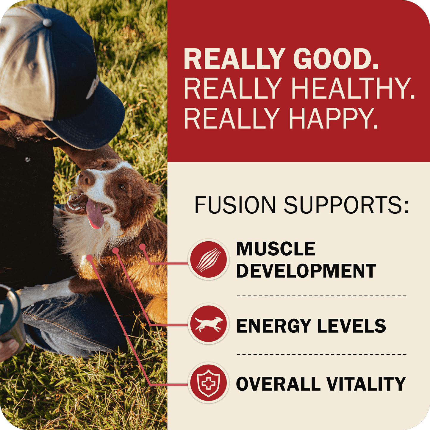 Fusion Supports: Muscle Development, Energy Levels & Overall Vitality