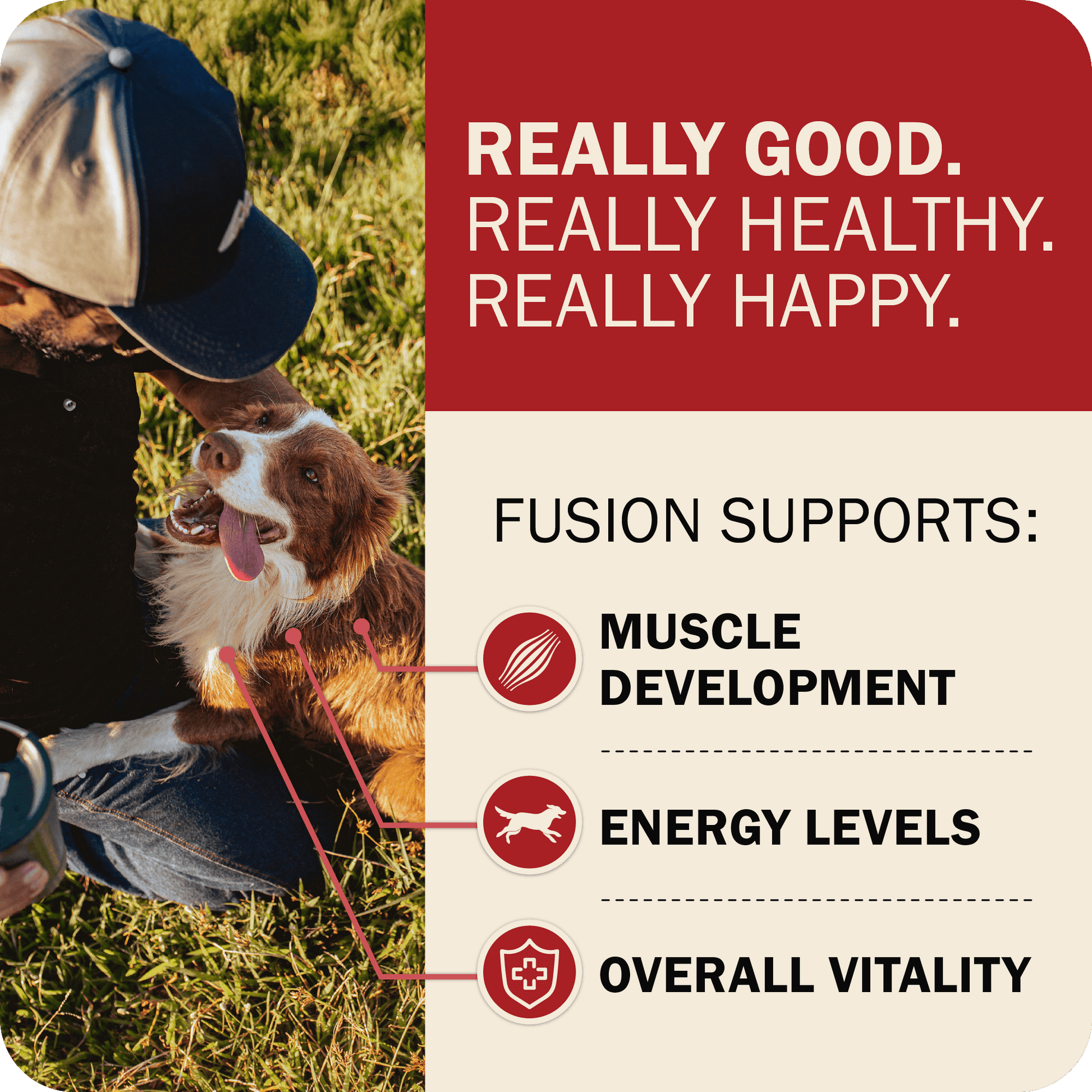 Fusion Supports: Muscle Development, Energy Levels & Overall Vitality