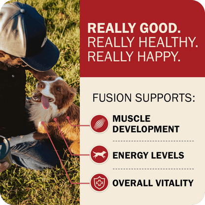 Fusion Supports: Muscle Development, Energy Levels & Overall Vitality