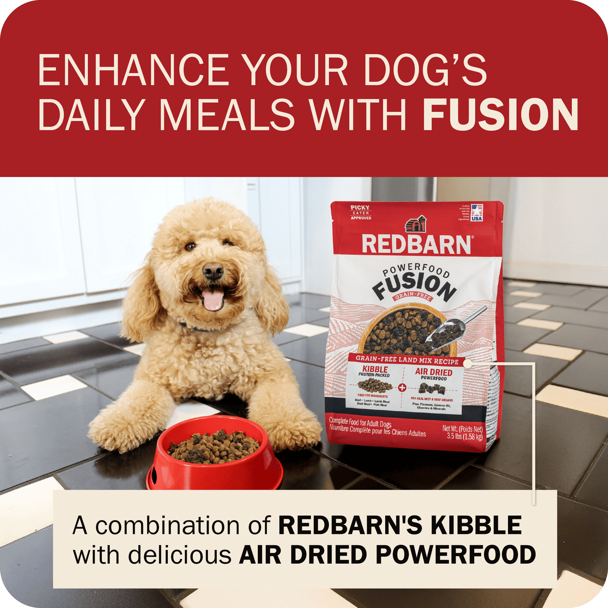 Enhance Your Dog's Daily Meals With Fusion