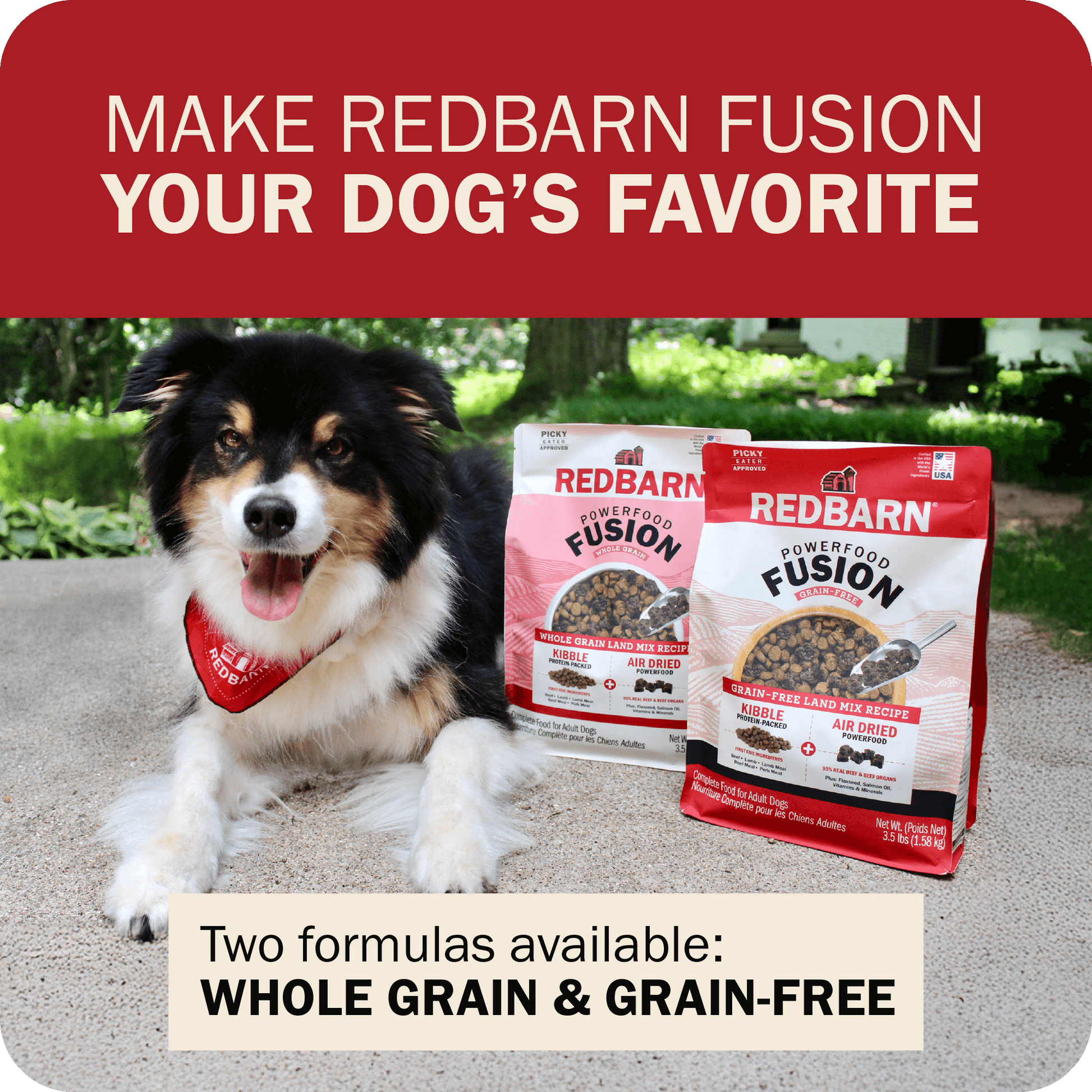 Avaiable in Whole Grain & Grain-Free