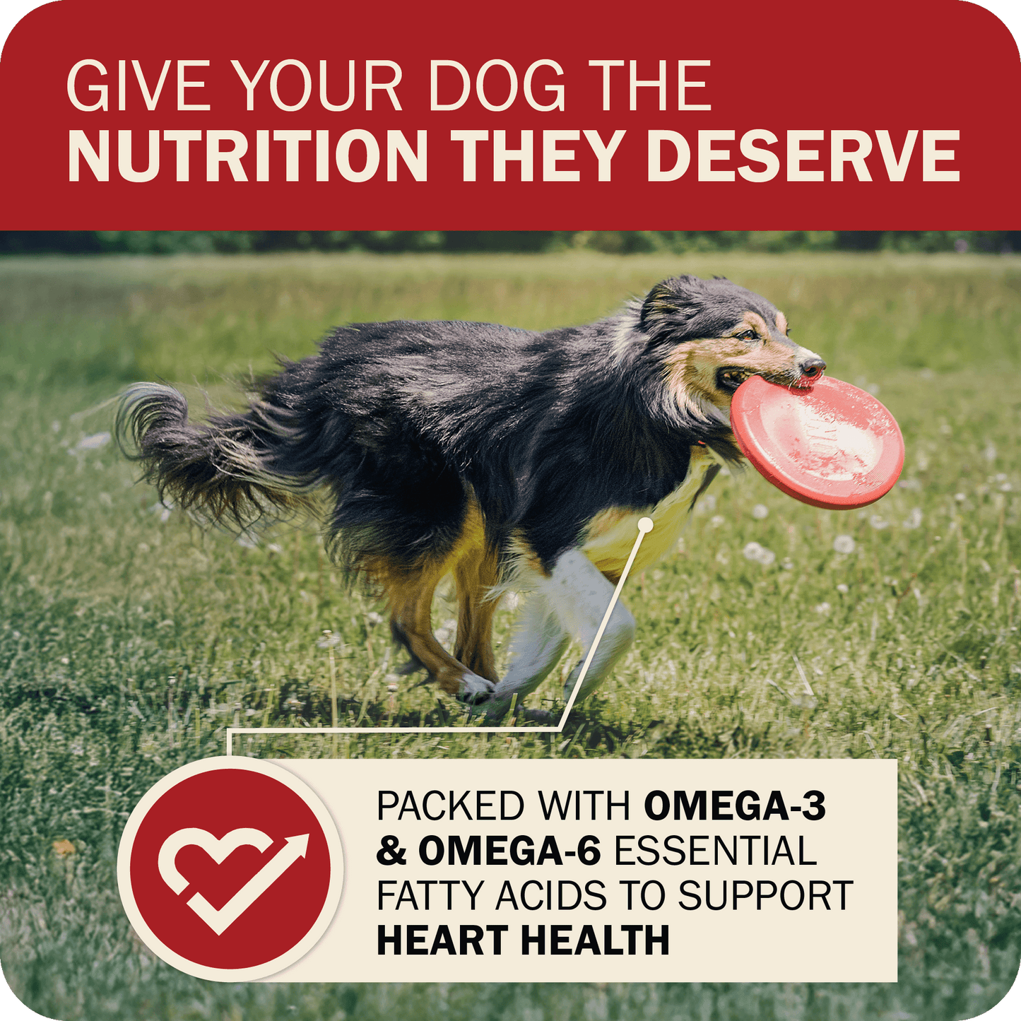 Packed with Omega-3 & Omega-6 Essential Fatty Acids to Support Heart Health