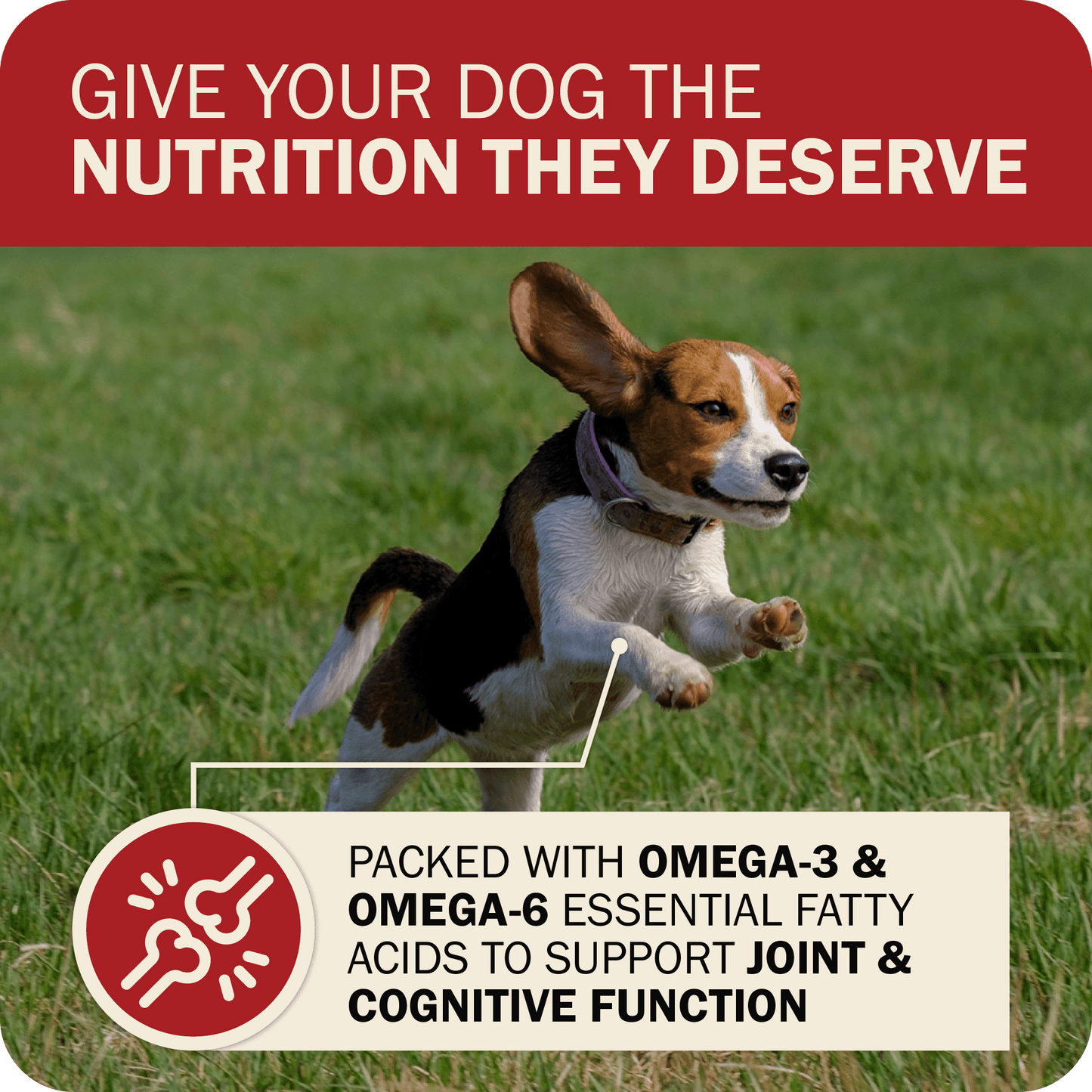 Packed with Omega-3 & Omega-6 Essential Fatty Acids to Support Heart Health