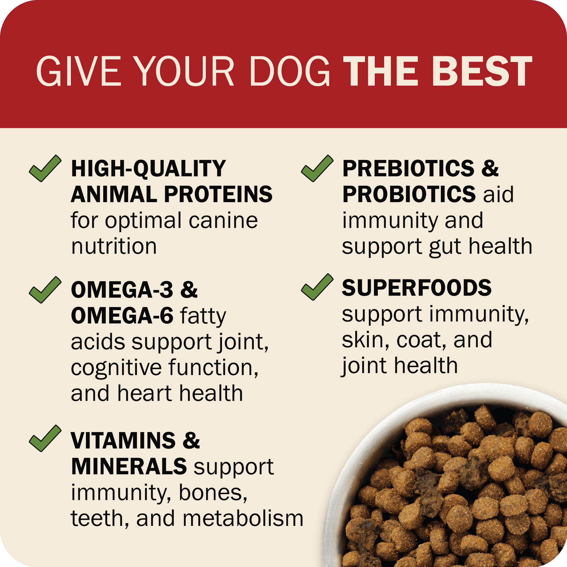 Give Your Dog The Best