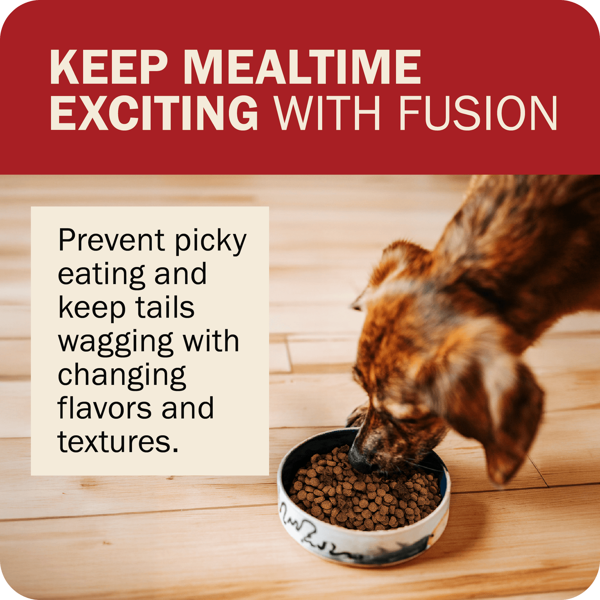 Keep Mealtime Exciting With Fusion