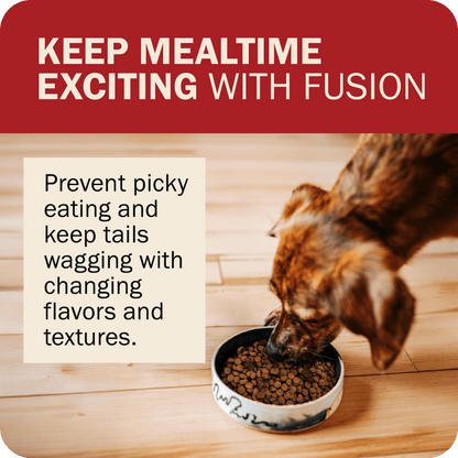 Keep Mealtime Exciting With Fusion