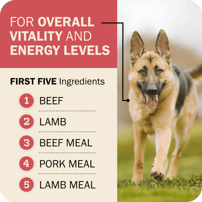 Powerfood Fusion Whole Grain Land Mix Recipe