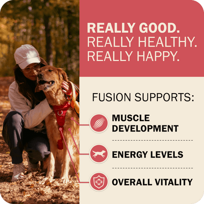 Powerfood Fusion Whole Grain Land Mix Recipe