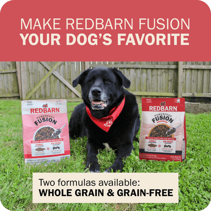Powerfood Fusion Whole Grain Land Mix Recipe