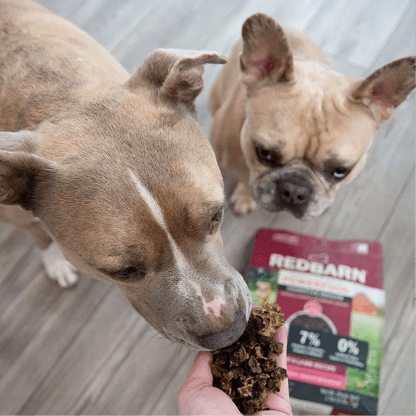 Two dogs looking at a pine cone held by a person with a Redbarn Digestive Health Food package in the background.