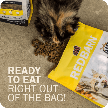 Cat Air Dried Powerfood Chicken Recipe