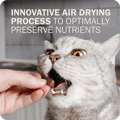 Cat Air Dried Powerfood Chicken Recipe