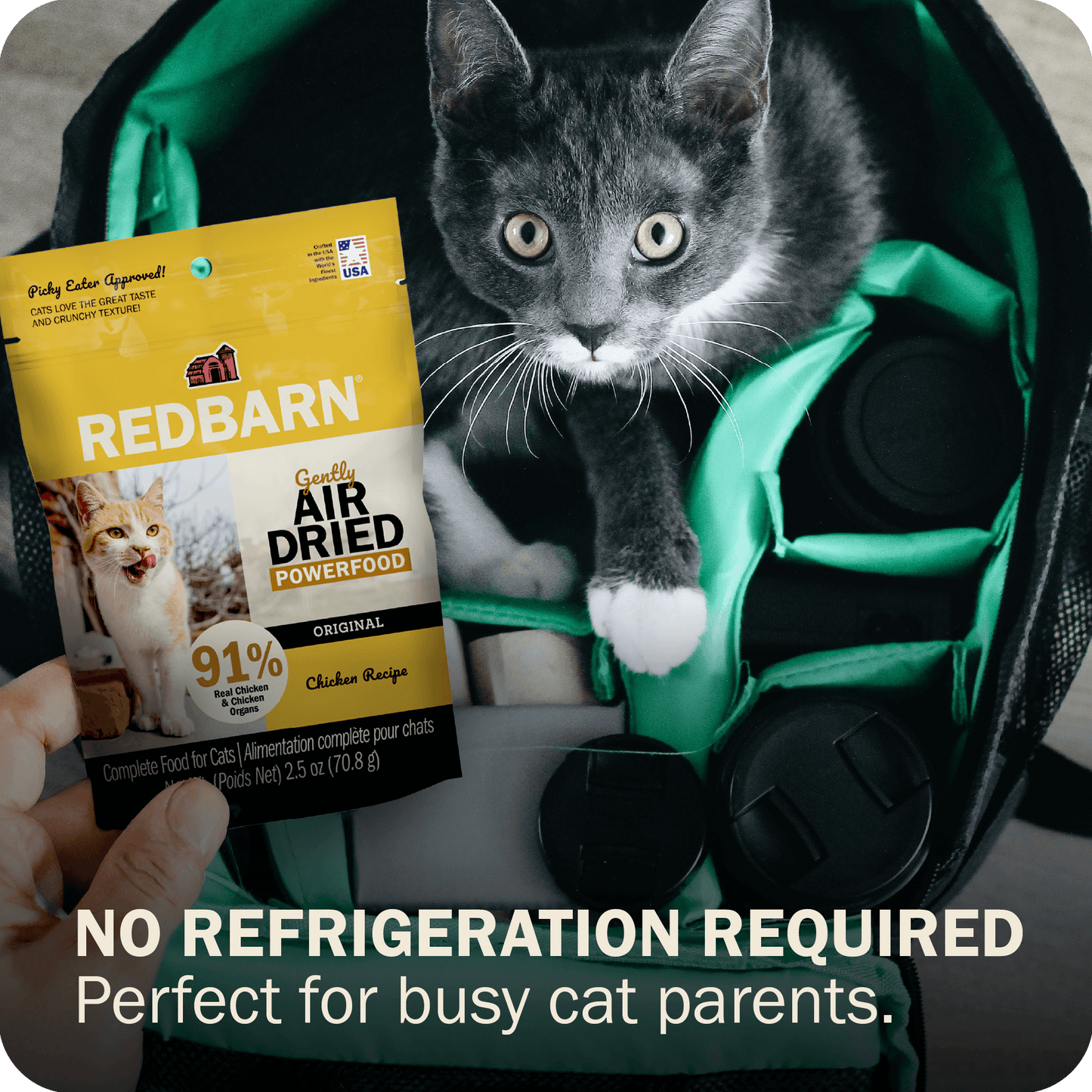 Cat Air Dried Powerfood Chicken Recipe