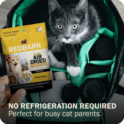Cat Air Dried Powerfood Chicken Recipe