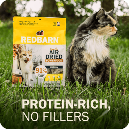 Cat Air Dried Powerfood Chicken Recipe