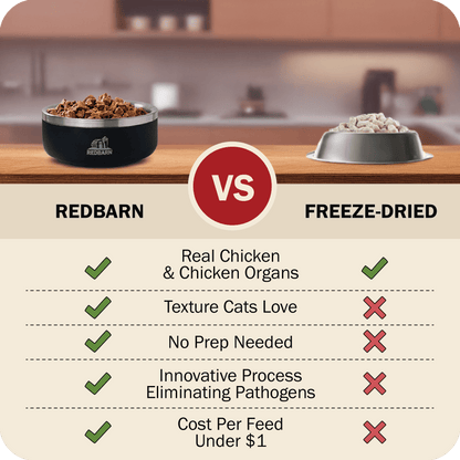 Cat Air Dried Powerfood Chicken Recipe