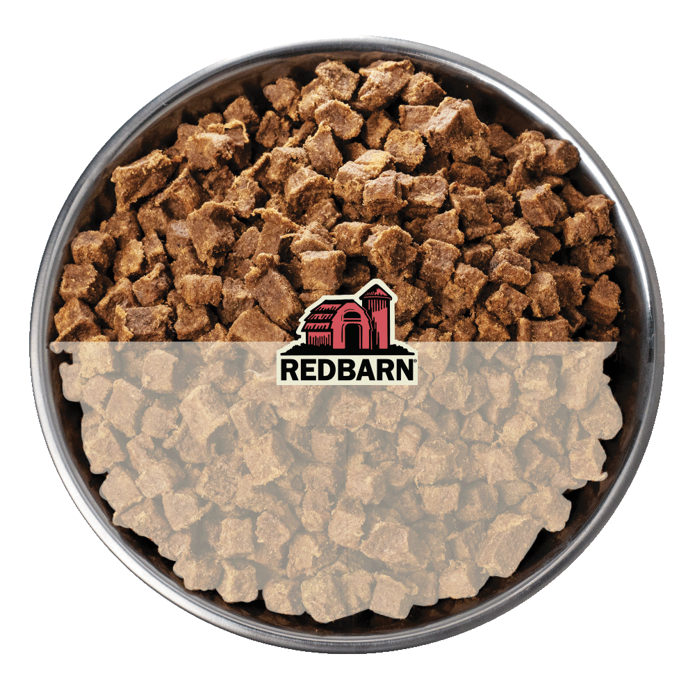 Metal bowl filled with Redbarn cat food on a white background