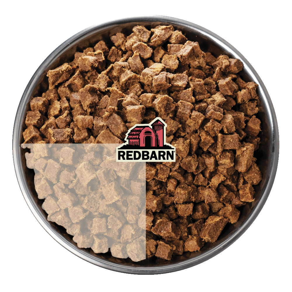 Metal bowl filled with Redbarn cat food on a white background