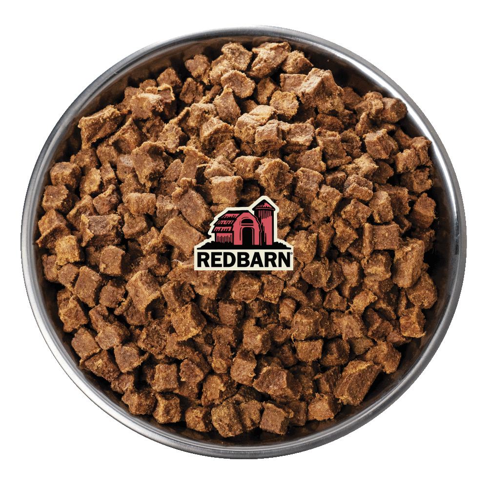 Metal bowl filled with Redbarn cat food on a white background