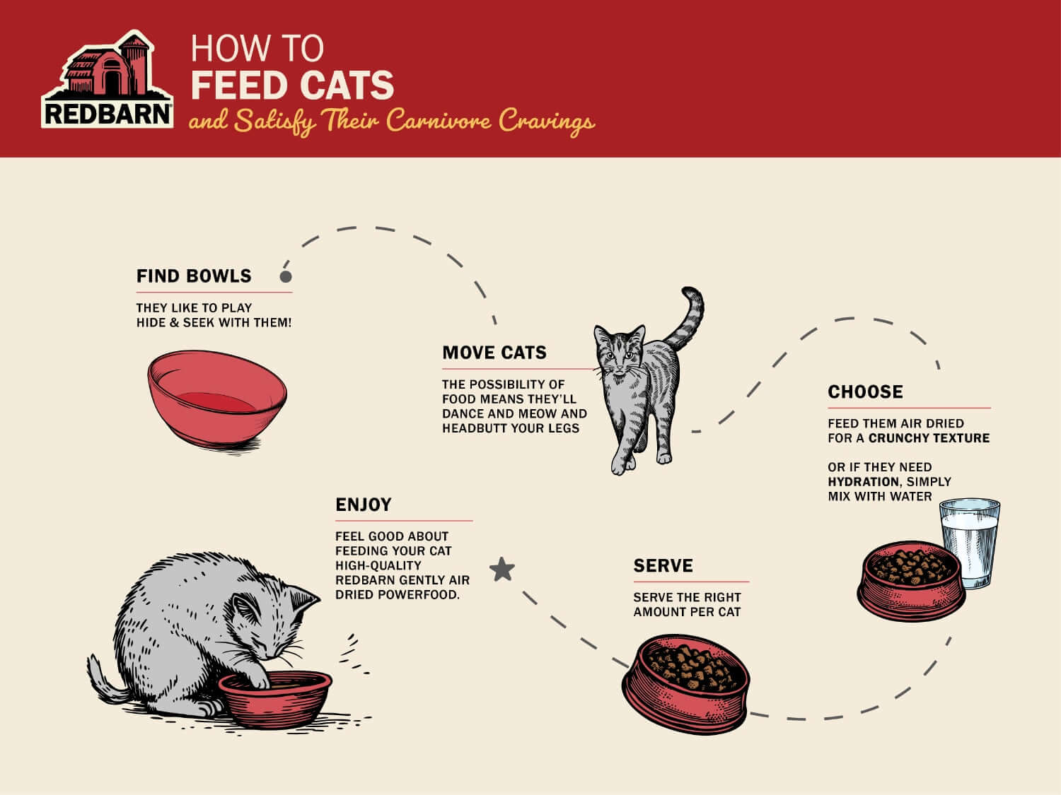 Redbarn infographic on how to feed cats and satisfy their carnivore cravings with illustrations and text.