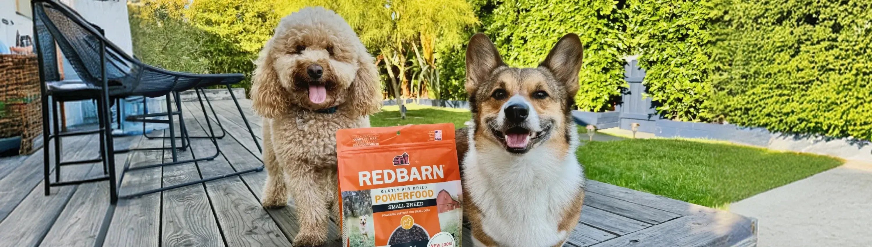 Two dogs with Redbarn Small Breed dog food promotional banner for 'The Dog Days Celebration' with 15% off offer.