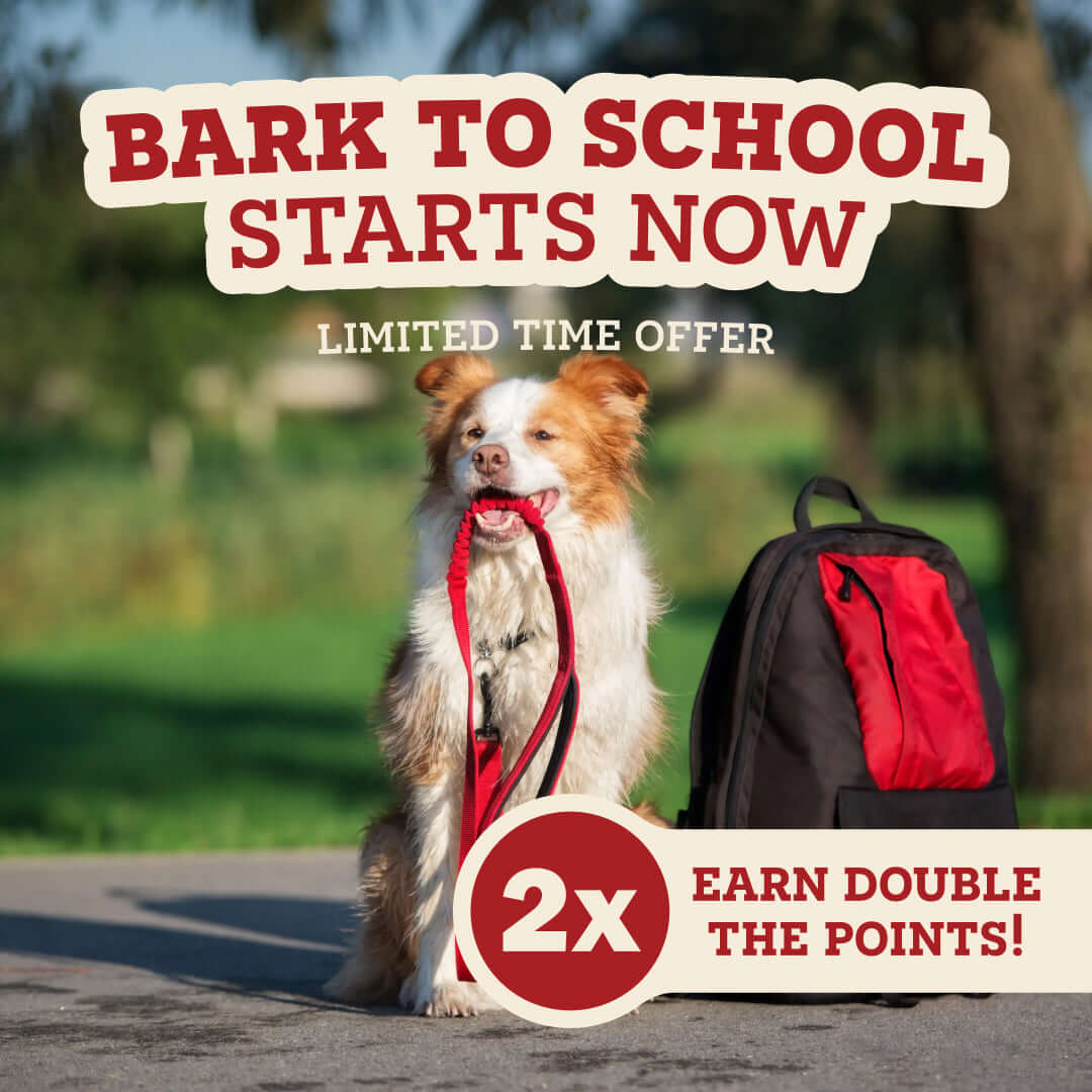 A dog sitting outdoors holding a red leash in its mouth next to a black and red backpack, with large promotional text reading 'BARK TO SCHOOL STARTS NOW,' 'LIMITED TIME OFFER,' and '2x EARN DOUBLE THE POINTS!'.