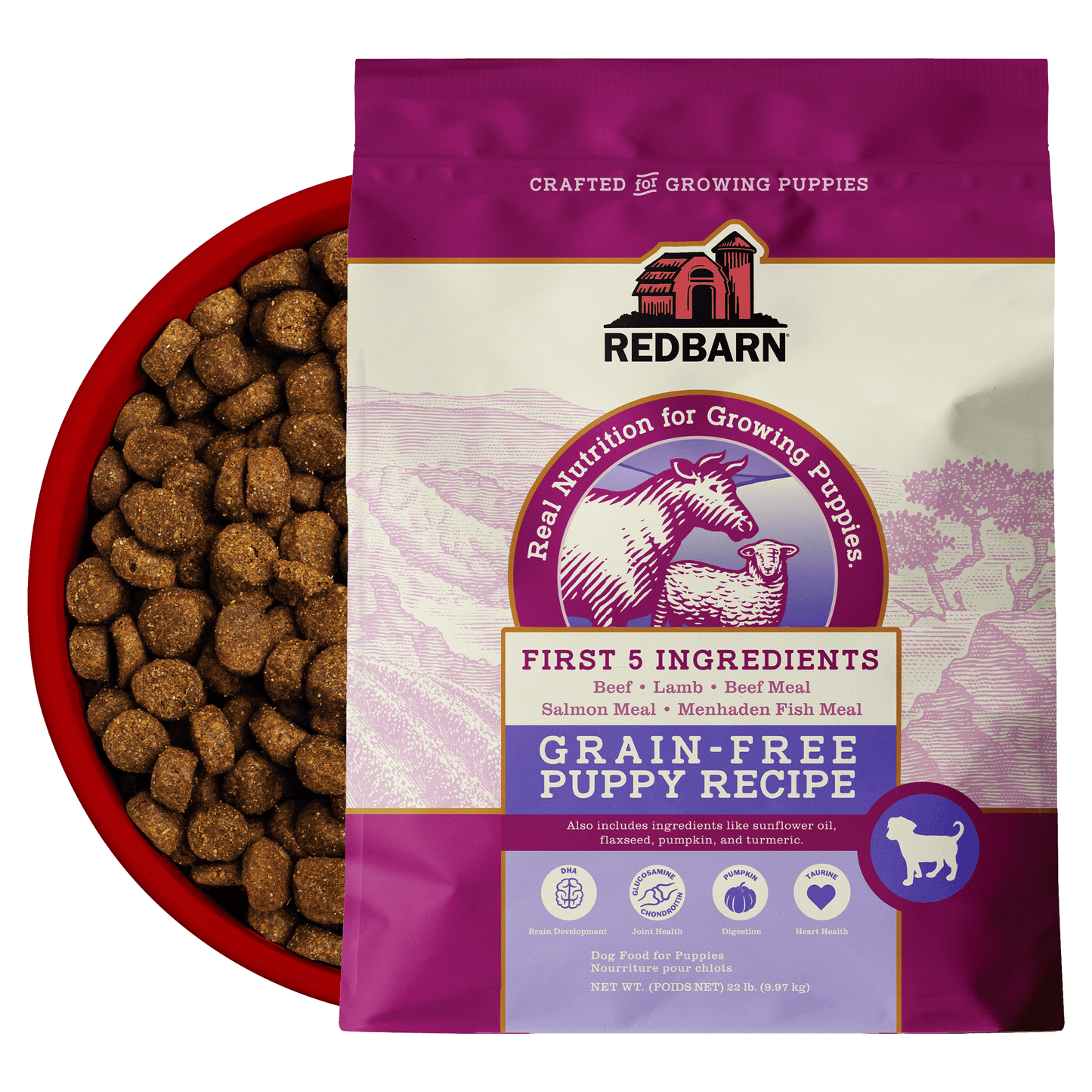 First-Five Kibble Grain-Free Puppy Beef & Lamb Recipe