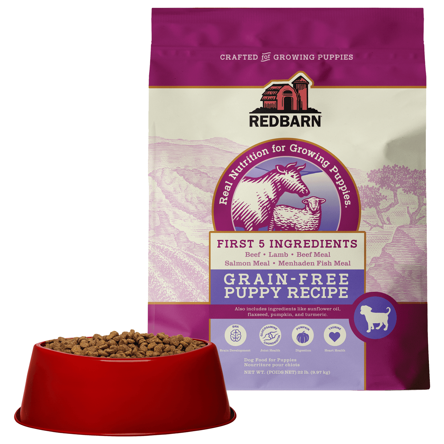 First-Five Kibble Grain-Free Puppy Beef & Lamb Recipe