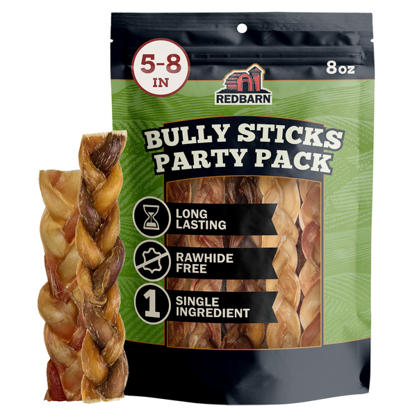 Best Long Lasting Natural Dog Chews. Redbarn 5-8 inch Braided Bully Sticks Party Pack with a single stick displayed in front on a white background.
