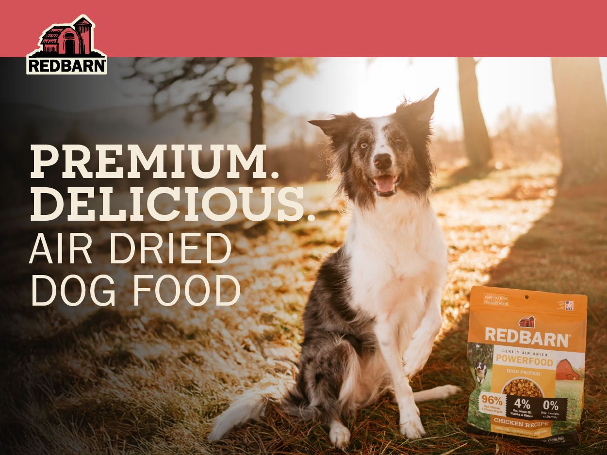 Dog sitting outdoors with Redbarn Air Dried Chicken Recipe dog food, with text that reads, 'Premium delicious Air Dried Dog Food.
