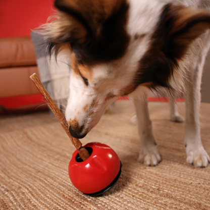 Dog trying to chew on a redbarn Treat attached to the Grab-A-Bull chew and treat holder