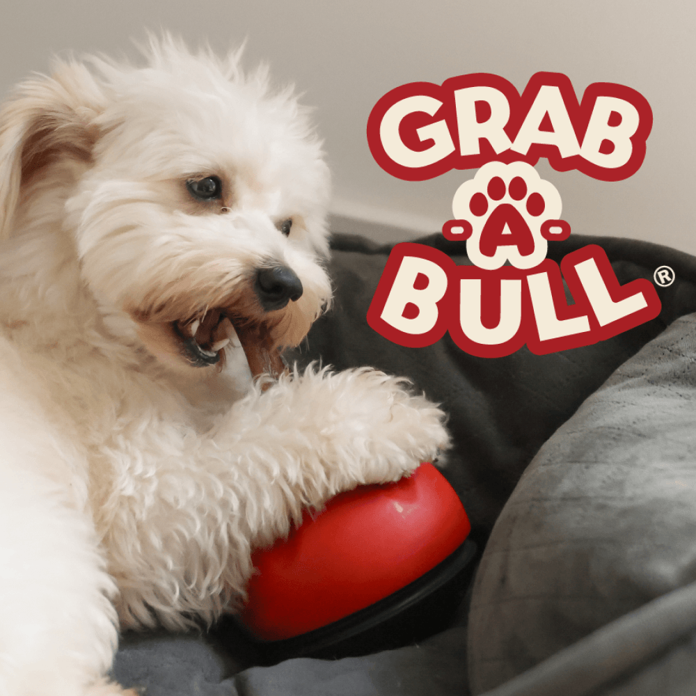 Dog playing with their redbarn Chew-A-Bull with a treat attached to it