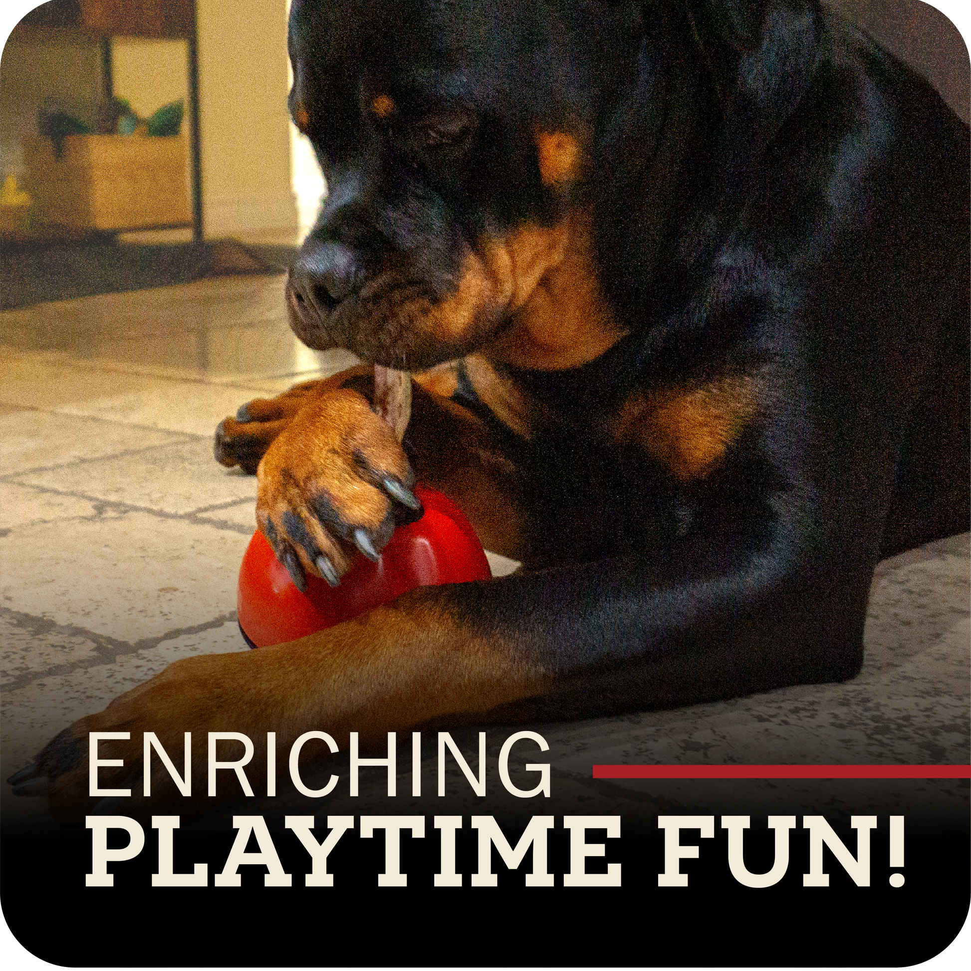 Dog enjoying their Redbarn bully stick attached to the Chew-A-Bull chew holder on a stone floor, with text 'Enriching Playtime Fun!'.