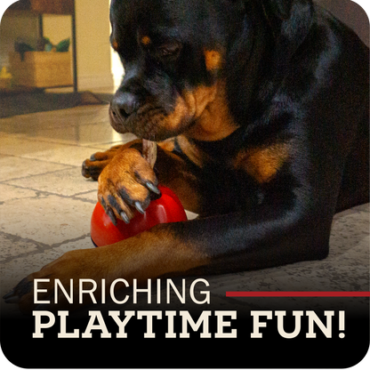 Dog enjoying their Redbarn bully stick attached to the Chew-A-Bull chew holder on a stone floor, with text 'Enriching Playtime Fun!'.