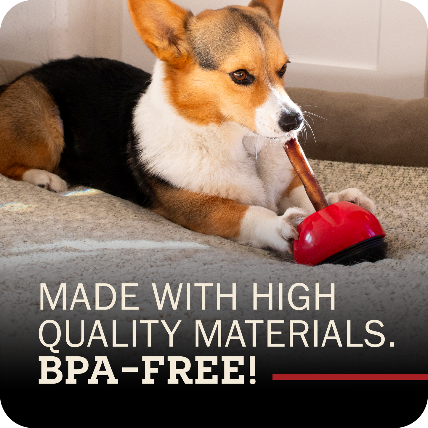 Dog chewing on a Redbarn Collagen Chew attached to the Chew-A-Bull, with text about high-quality materials and BPA-free.