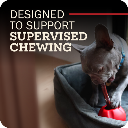 A dog chewing on their Redbarn Bully stick attached to the Grab-A-Bull with the text, 'Designed to support supervised chewing.'