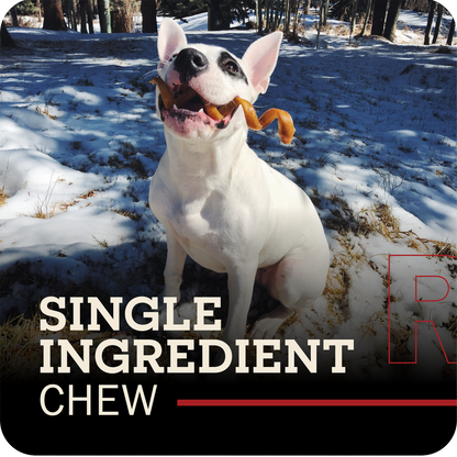 A white dog with black markings sits in the snow outdoors, holding a Redbarn Bully Spring chew in its mouth. Large text at the bottom reads 'SINGLE INGREDIENT CHEW' 