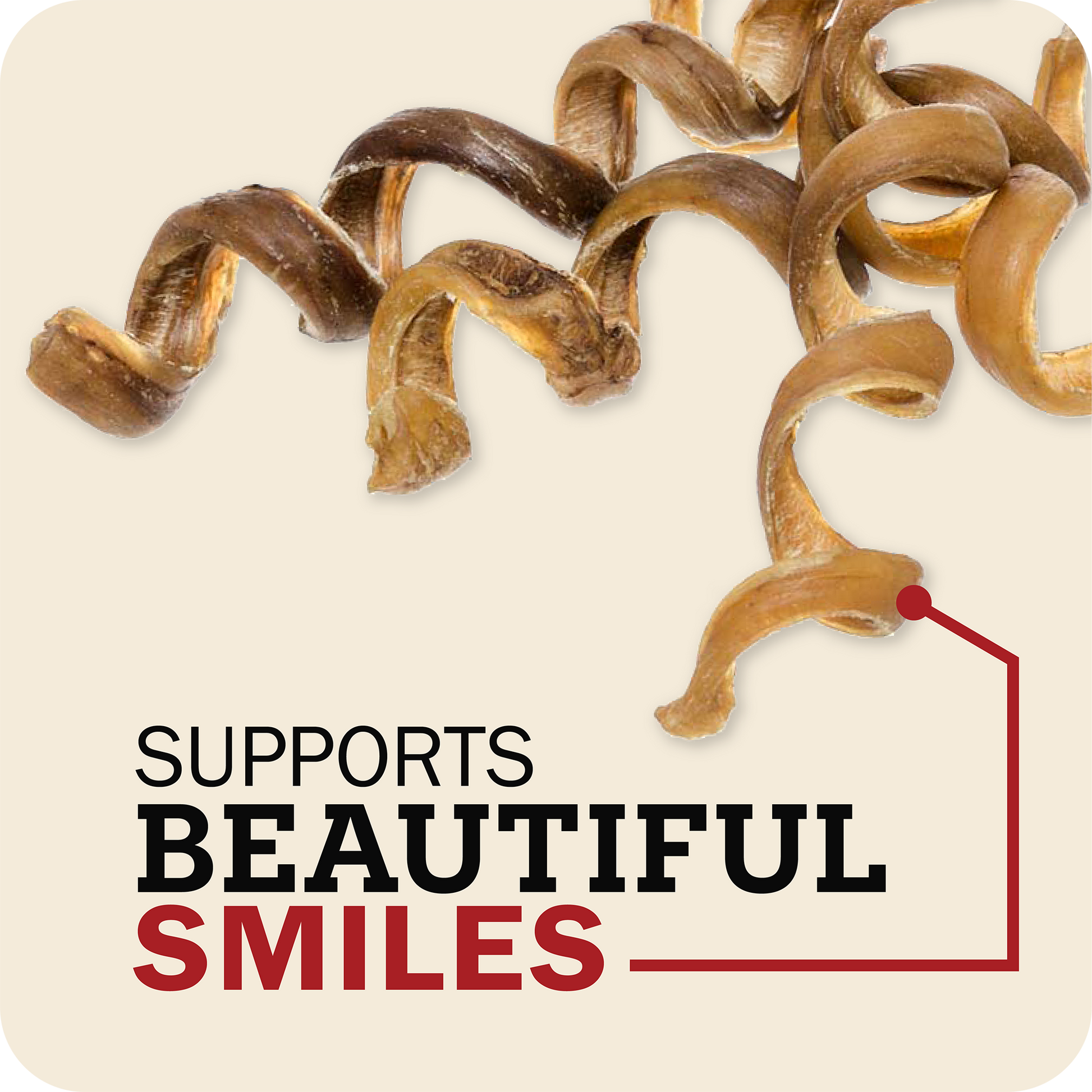 A set of Redbarn Bully Spring, spiral-shaped dog treats on a light beige background with the text 'SUPPORTS BEAUTIFUL SMILES' and a red connector line.
