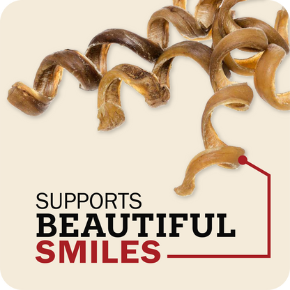 A set of Redbarn Bully Spring, spiral-shaped dog treats on a light beige background with the text 'SUPPORTS BEAUTIFUL SMILES' and a red connector line.